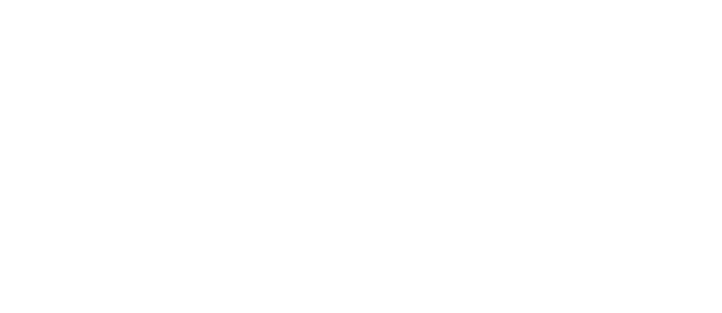 Wixi Logo